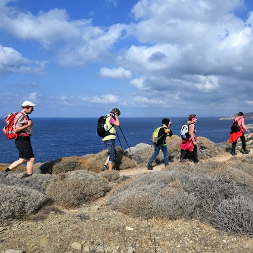 Östliche Kykladen: Andros, Tinos, Syros
